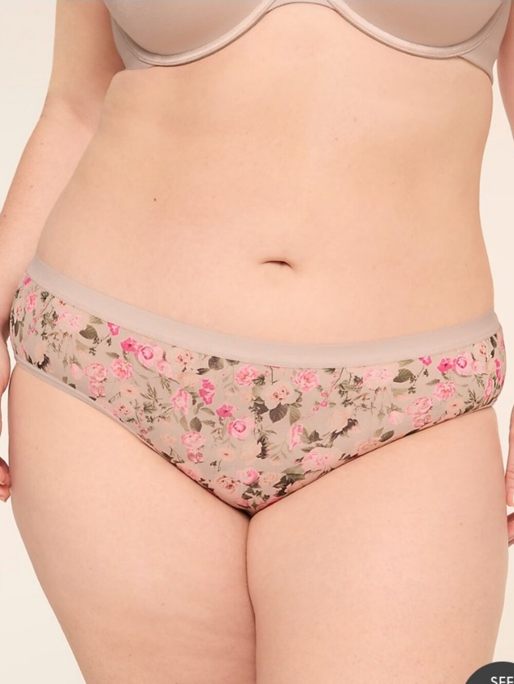 Cacique 14/16 Hipster Panty